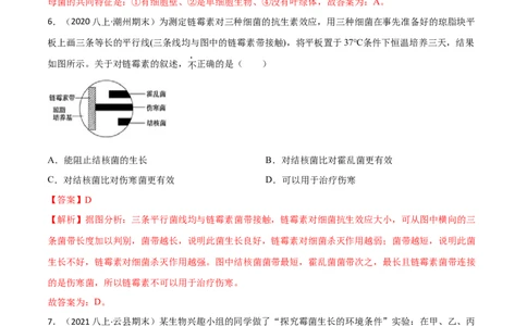 第四、五章细菌、真菌和病毒（B卷&middot;能力提升练）（解析版）_1、初中学习资料_4-6、生物_4-6-3、初二生物上册_2、单元测试（23份）_1、第1套单元测试2022-2023学年