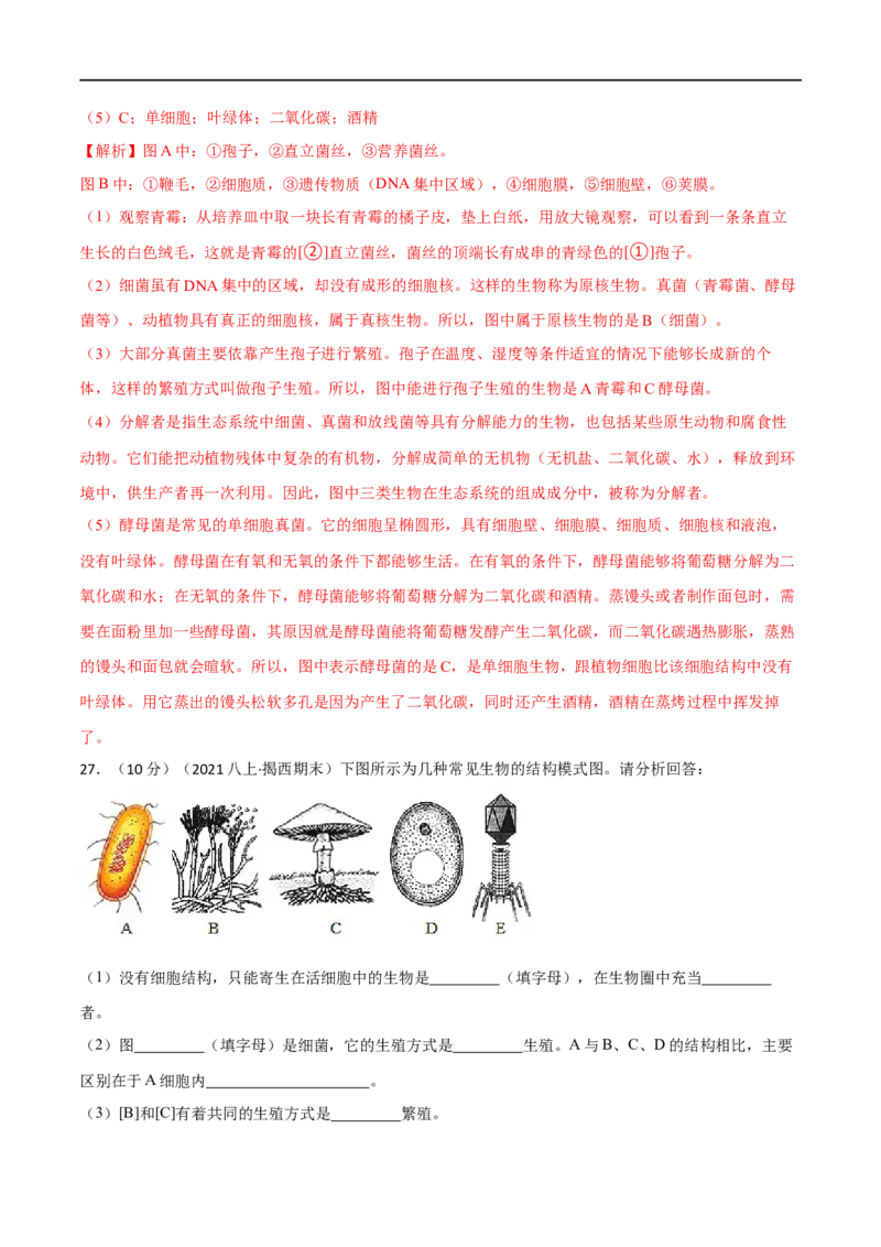 第四、五章细菌、真菌和病毒（B卷&middot;能力提升练）（解析版）_1、初中学习资料_4-6、生物_4-6-3、初二生物上册_2、单元测试（23份）_1、第1套单元测试2022-2023学年