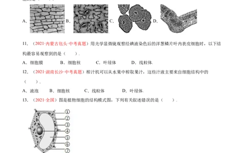 第02单元第01章细胞是生命活动的基本单位单元测试（B卷&middot;提升能力）（原卷版）_1、初中学习资料_4-6、生物_4-6-1、初一生物上册_单元测试（20份）_1、单元测试第1套（10份）