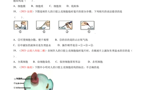 第02单元第01章细胞是生命活动的基本单位单元测试（B卷&middot;提升能力）（原卷版）_1、初中学习资料_4-6、生物_4-6-1、初一生物上册_单元测试（20份）_1、单元测试第1套（10份）