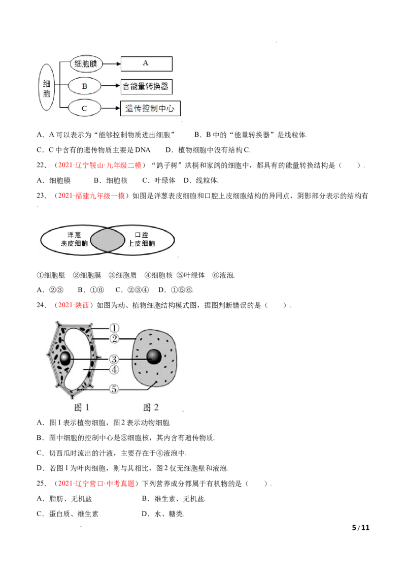 第02单元第01章细胞是生命活动的基本单位单元测试（B卷&middot;提升能力）（原卷版）_1、初中学习资料_4-6、生物_4-6-1、初一生物上册_单元测试（20份）_1、单元测试第1套（10份）