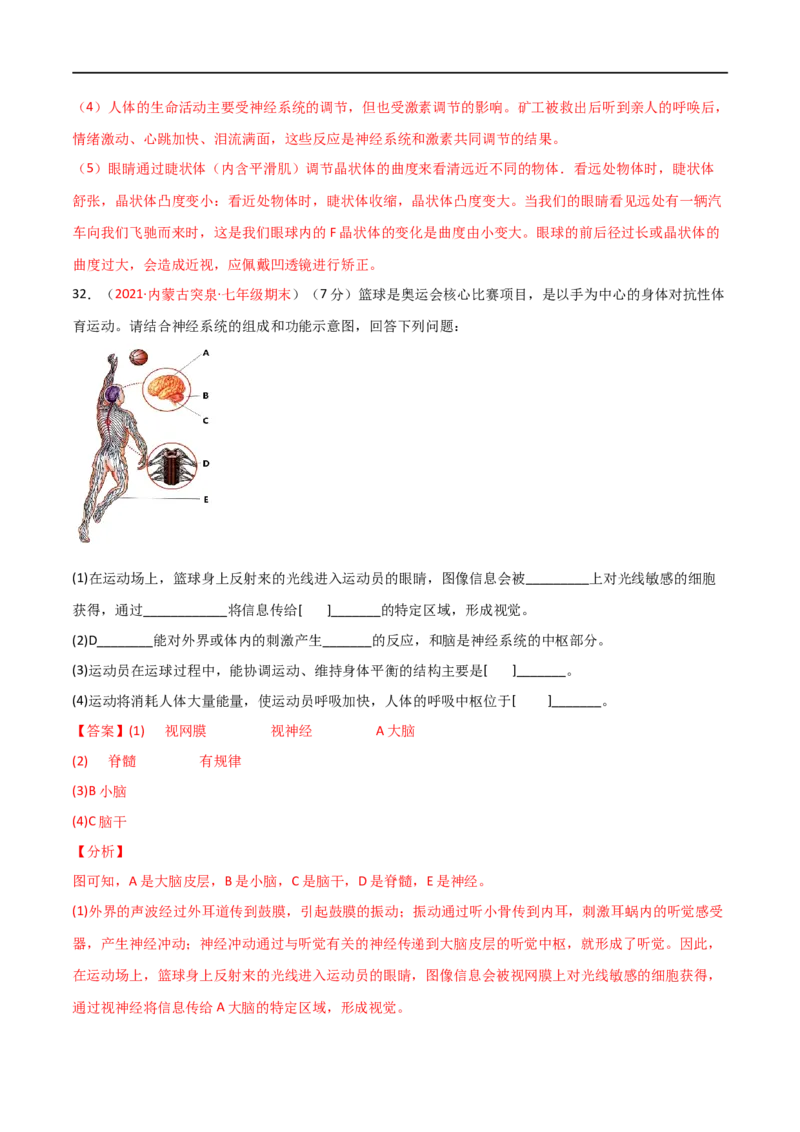 第04单元第06章人体生命活动的调节单元测试（B卷&middot;提升能力）（解析版）_1、初中学习资料_4-6、生物_4-6-2、初一生物下册_单元测试（14份）