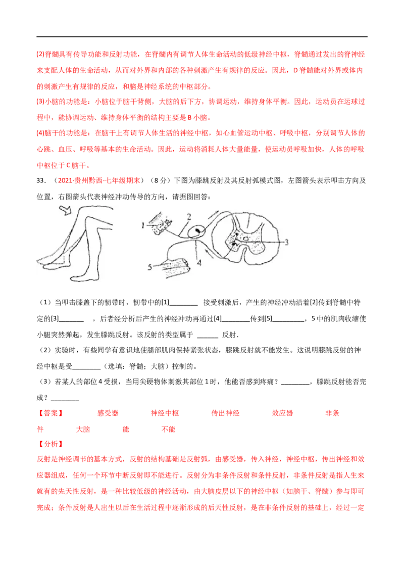 第04单元第06章人体生命活动的调节单元测试（B卷&middot;提升能力）（解析版）_1、初中学习资料_4-6、生物_4-6-2、初一生物下册_单元测试（14份）