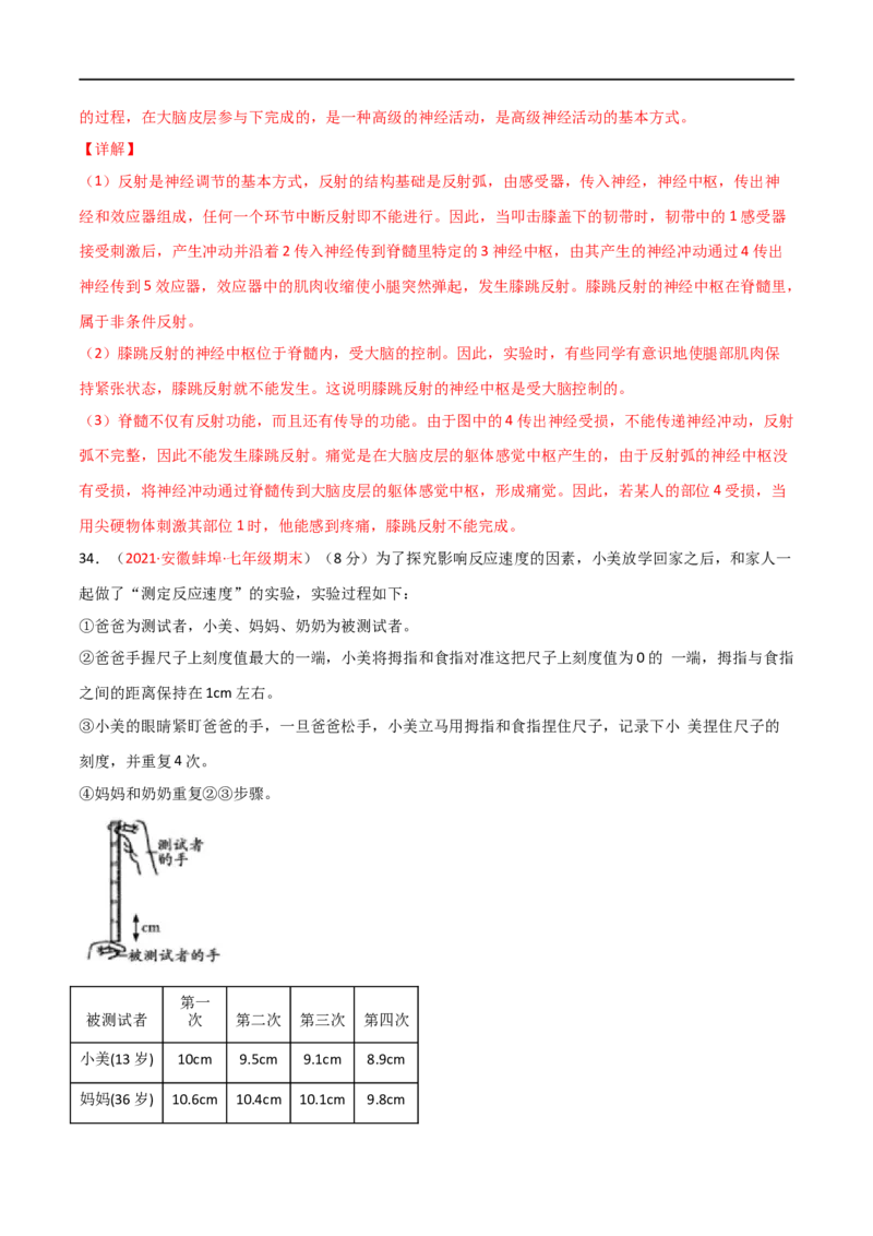 第04单元第06章人体生命活动的调节单元测试（B卷&middot;提升能力）（解析版）_1、初中学习资料_4-6、生物_4-6-2、初一生物下册_单元测试（14份）