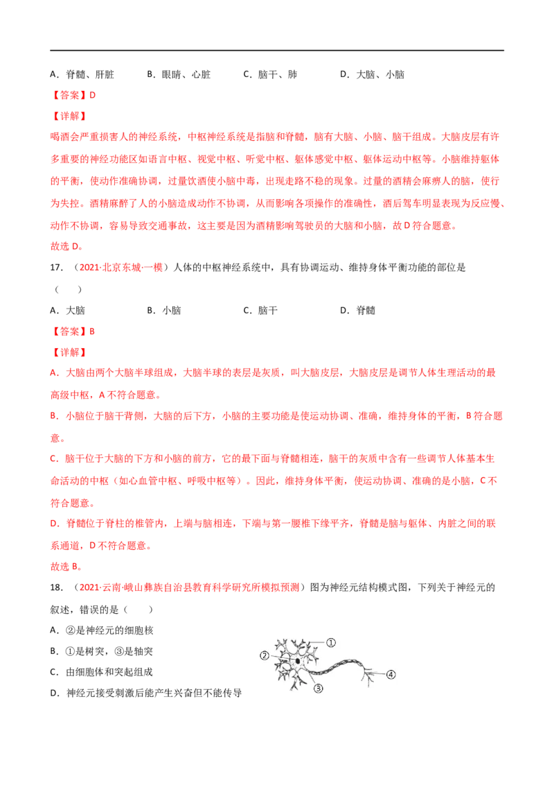 第04单元第06章人体生命活动的调节单元测试（B卷&middot;提升能力）（解析版）_1、初中学习资料_4-6、生物_4-6-2、初一生物下册_单元测试（14份）
