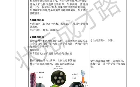 第四节病毒_1、初中学习资料_2024秋改版_七上生物最新版课件_教案_第二单元多种多样的生物_第三章微生物