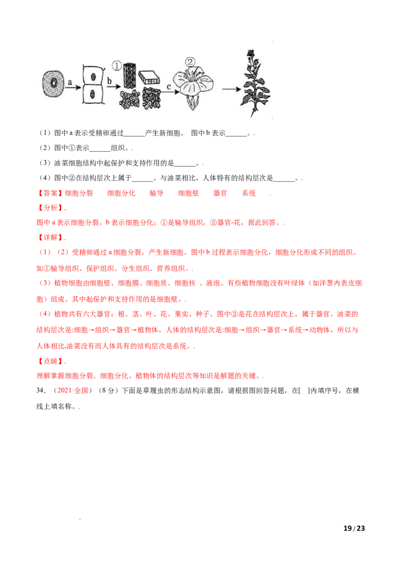 第02单元第02章细胞怎样构成生物体单元测试（A卷&bull;劣实基础）（解析版）_1、初中学习资料_4-6、生物_4-6-1、初一生物上册_单元测试（20份）_1、单元测试第1套（10份）