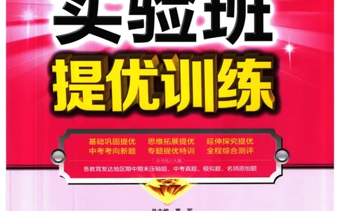 实验班提优训练九年级下册历史人教版全练版_1、初中学习资料_24秋试卷_《实验班提优训练》_九年级
