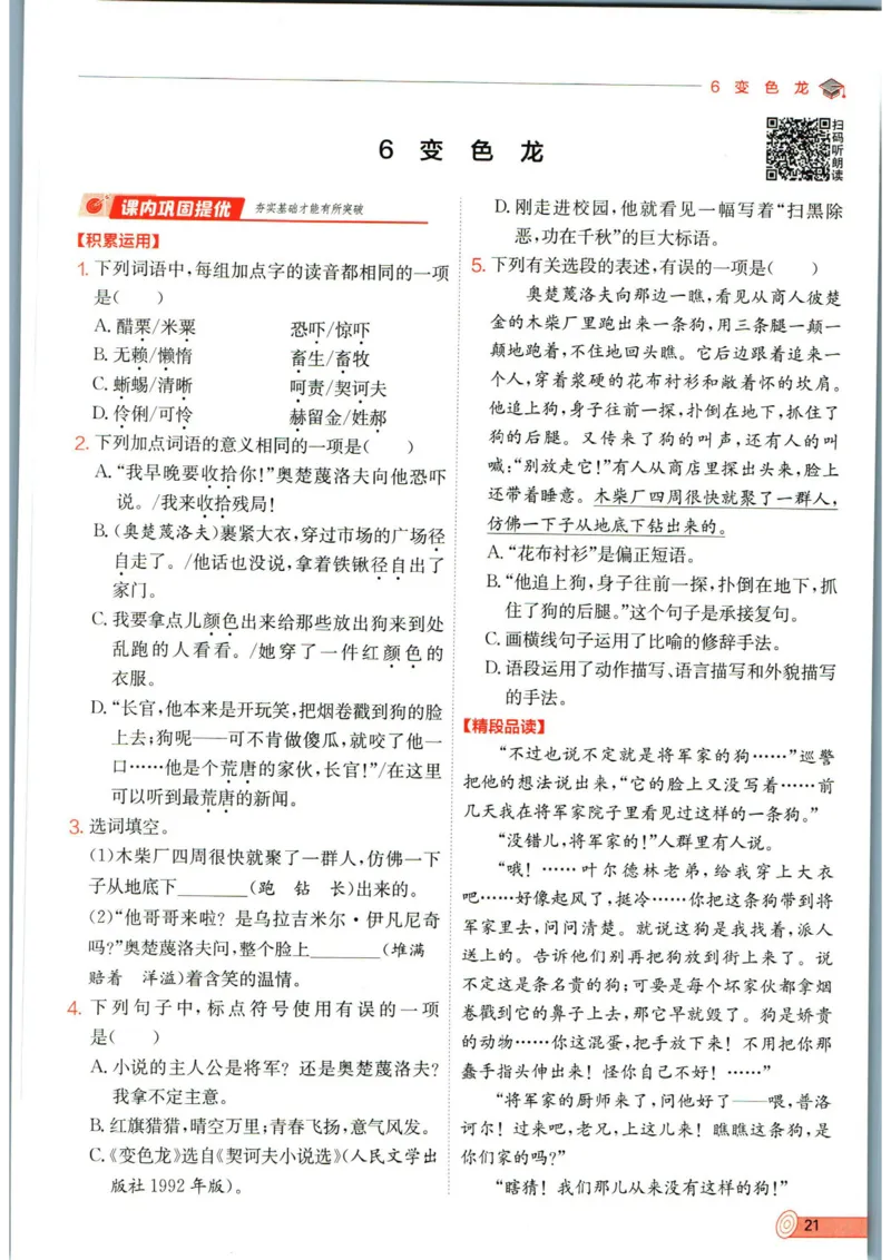 实验班提优训练九年级下册语文人教版_1、初中学习资料_24秋试卷_《实验班提优训练》_九年级