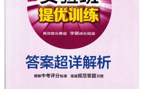 实验班提优训练九年级下册英语人教版答案_1、初中学习资料_24秋试卷_《实验班提优训练》_九年级