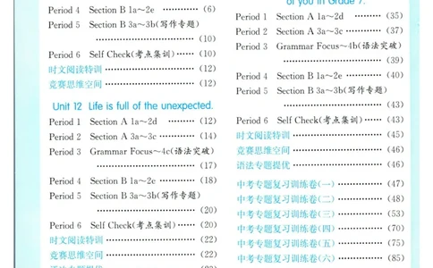 实验班提优训练九年级下册英语人教版答案_1、初中学习资料_24秋试卷_《实验班提优训练》_九年级