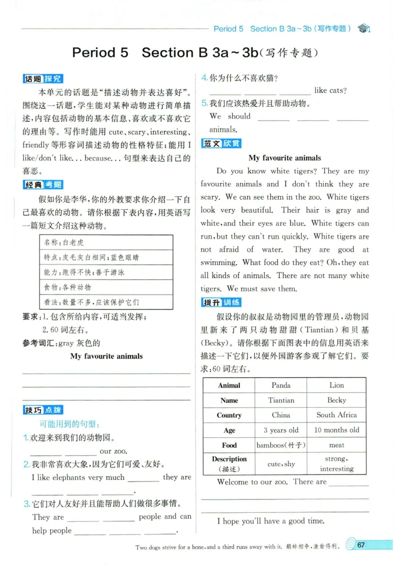 实验班提优训练七年级下册英语人教版_1、初中学习资料_24秋试卷_《实验班提优训练》_七年级