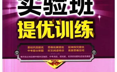 实验班提优训练七年级下册英语人教版_1、初中学习资料_24秋试卷_《实验班提优训练》_七年级