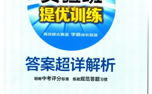 实验班提优训练九年级下册语文人教版答案_1、初中学习资料_24秋试卷_《实验班提优训练》_九年级
