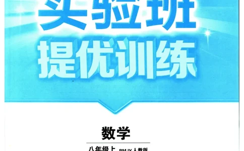 实验班提优训练八年级上册数学人教版_1、初中学习资料_24秋试卷_《实验班提优训练》_八年级
