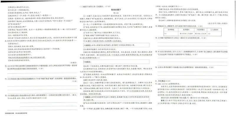 实验班提优训练九年级下册语文人教版测评卷_1、初中学习资料_24秋试卷_《实验班提优训练》_九年级