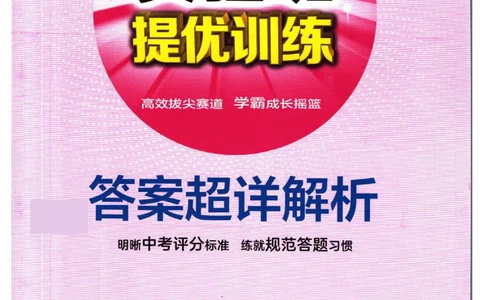 实验班提优训练八年级下册道德与法治人教版答案_1、初中学习资料_24秋试卷_《实验班提优训练》_八年级