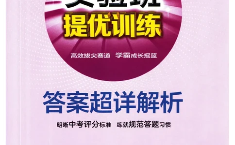 实验班提优训练七年级下册英语人教版答案_1、初中学习资料_24秋试卷_《实验班提优训练》_七年级