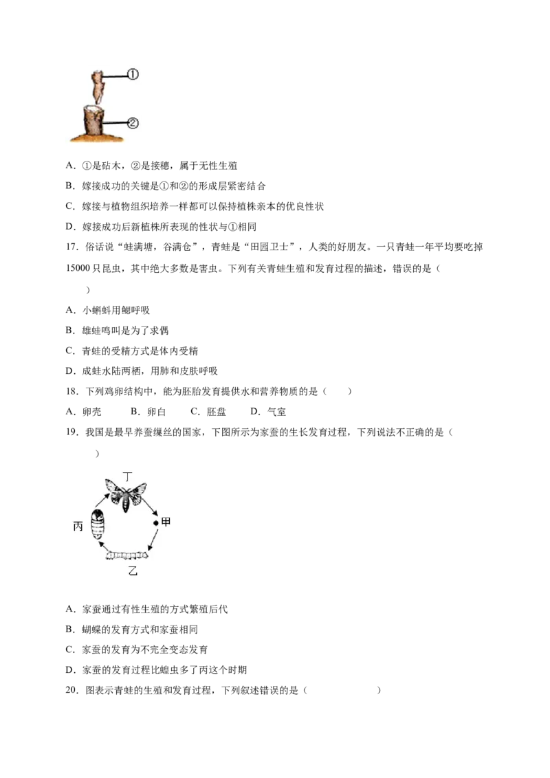 第1章生物的生殖和发育（A&middot;知识通关练）-单元测试2022-2023学年八年级生物下册分层训练AB卷（人教版）（原卷版）_new_1、初中学习资料_4-6、生物_4-6-4、初二生物下册