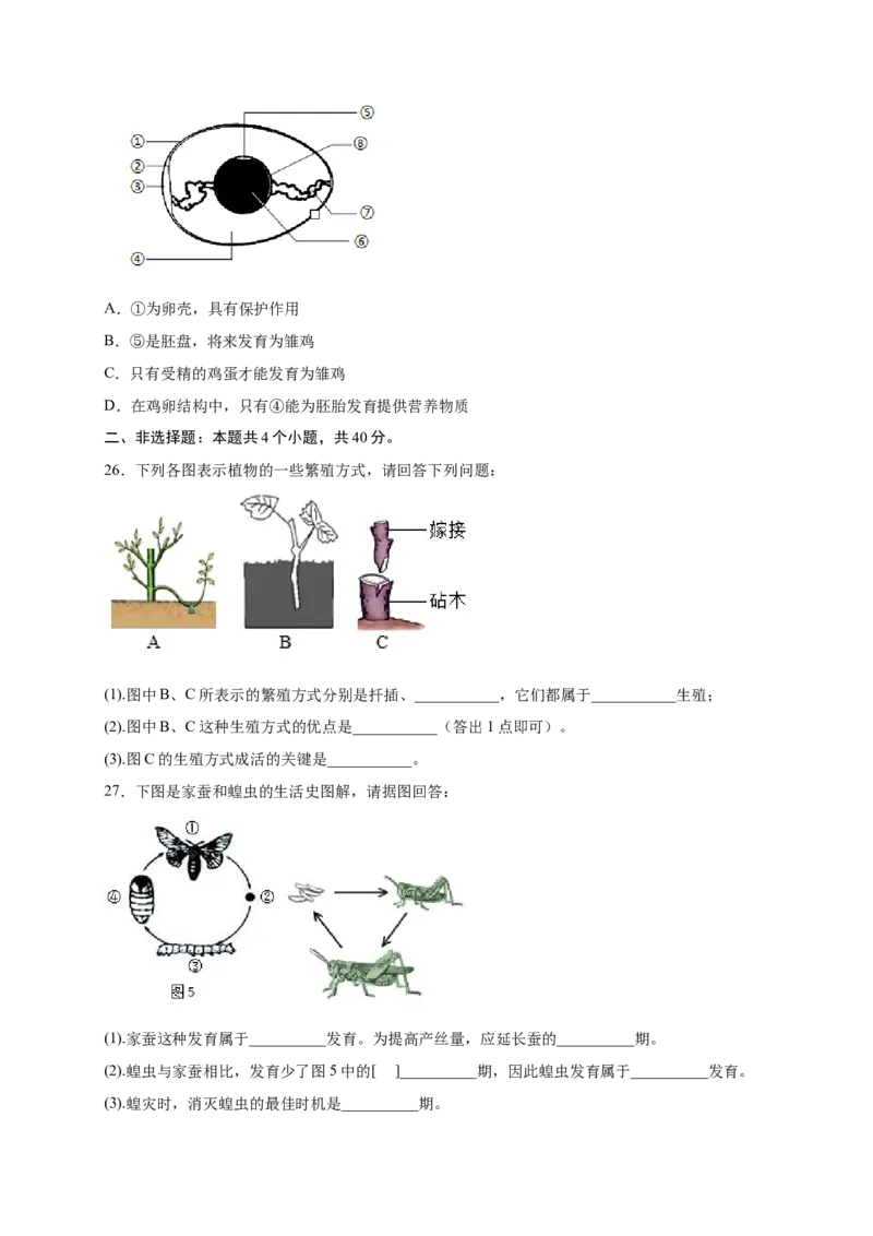 第1章生物的生殖和发育（A&middot;知识通关练）-单元测试2022-2023学年八年级生物下册分层训练AB卷（人教版）（原卷版）_new_1、初中学习资料_4-6、生物_4-6-4、初二生物下册