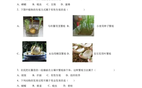 第1章生物的生殖和发育（A&middot;知识通关练）-单元测试2022-2023学年八年级生物下册分层训练AB卷（人教版）（原卷版）_new_1、初中学习资料_4-6、生物_4-6-4、初二生物下册