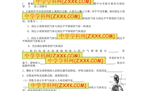 第1节《呼吸道对空气的处理》同步检测试题含答案_1、初中学习资料_4-6、生物_4-6-2、初一生物下册_同步练习（89份）_同步练习第2套（69份）_4.3人体的呼吸_第1节呼吸道对空气的处理