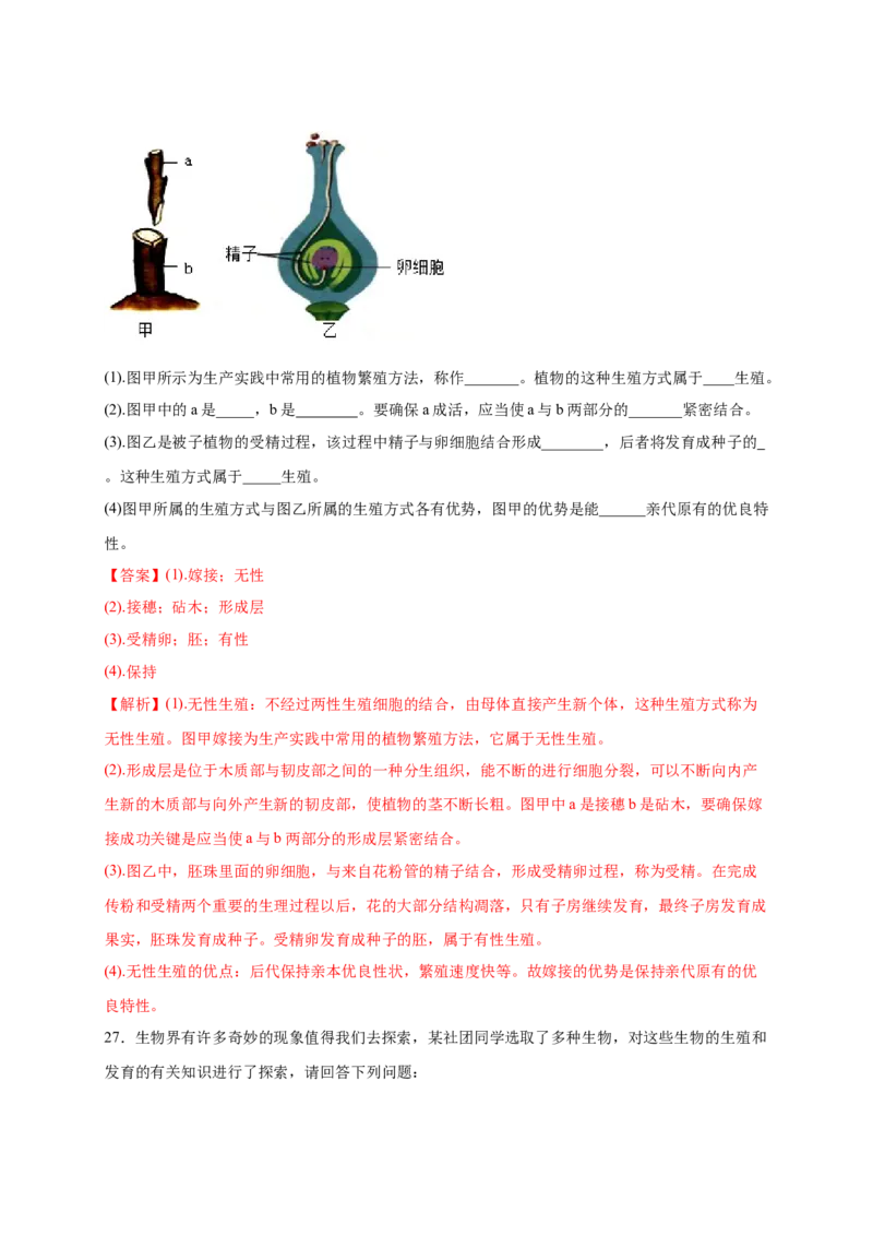 第1章生物的生殖和发育（B&middot;能力提升练）-单元测试2022-2023学年八年级生物下册分层训练AB卷（人教版）（解析版）_new_1、初中学习资料_4-6、生物_4-6-4、初二生物下册