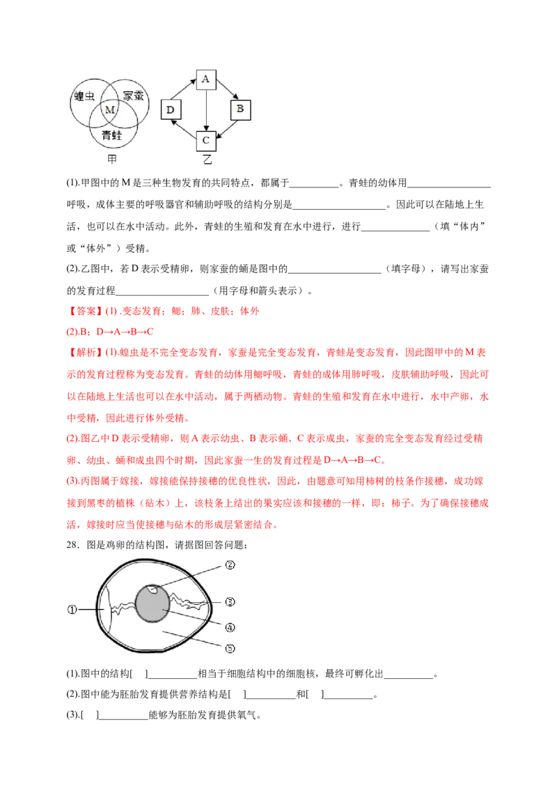 第1章生物的生殖和发育（B&middot;能力提升练）-单元测试2022-2023学年八年级生物下册分层训练AB卷（人教版）（解析版）_new_1、初中学习资料_4-6、生物_4-6-4、初二生物下册