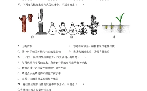 第1章生物的生殖和发育（B&middot;能力提升练）-单元测试2022-2023学年八年级生物下册分层训练AB卷（人教版）（原卷版）_new_1、初中学习资料_4-6、生物_4-6-4、初二生物下册