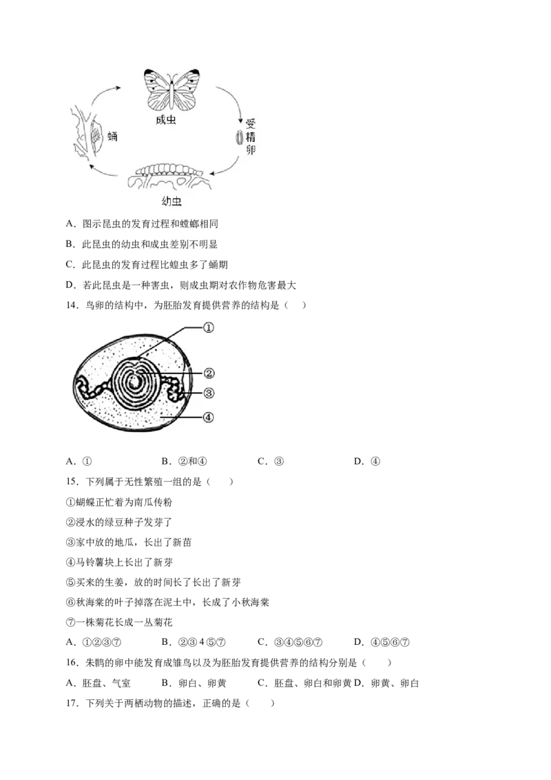 第1章生物的生殖和发育（B&middot;能力提升练）-单元测试2022-2023学年八年级生物下册分层训练AB卷（人教版）（原卷版）_new_1、初中学习资料_4-6、生物_4-6-4、初二生物下册