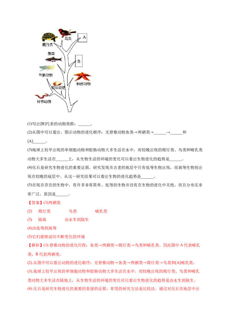 第3章生命起源和生物进化（B&middot;能力提升练）-单元测试2022-2023学年八年级生物下册分层训练AB卷（人教版）（解析版）_new_1、初中学习资料_4-6、生物_4-6-4、初二生物下册