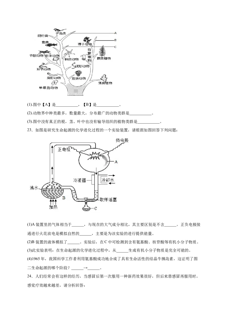 第3章生命起源和生物进化（A&middot;知识通关练）-单元测试2022-2023学年八年级生物下册分层训练AB卷（人教版）（原卷版）_new_1、初中学习资料_4-6、生物_4-6-4、初二生物下册