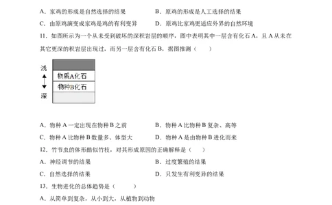 第3章生命起源和生物进化（A&middot;知识通关练）-单元测试2022-2023学年八年级生物下册分层训练AB卷（人教版）（原卷版）_new_1、初中学习资料_4-6、生物_4-6-4、初二生物下册