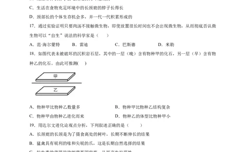 第3章生命起源和生物进化（A&middot;知识通关练）-单元测试2022-2023学年八年级生物下册分层训练AB卷（人教版）（原卷版）_new_1、初中学习资料_4-6、生物_4-6-4、初二生物下册