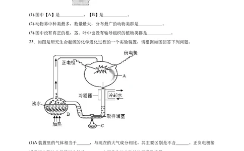 第3章生命起源和生物进化（A&middot;知识通关练）-单元测试2022-2023学年八年级生物下册分层训练AB卷（人教版）（原卷版）_new_1、初中学习资料_4-6、生物_4-6-4、初二生物下册