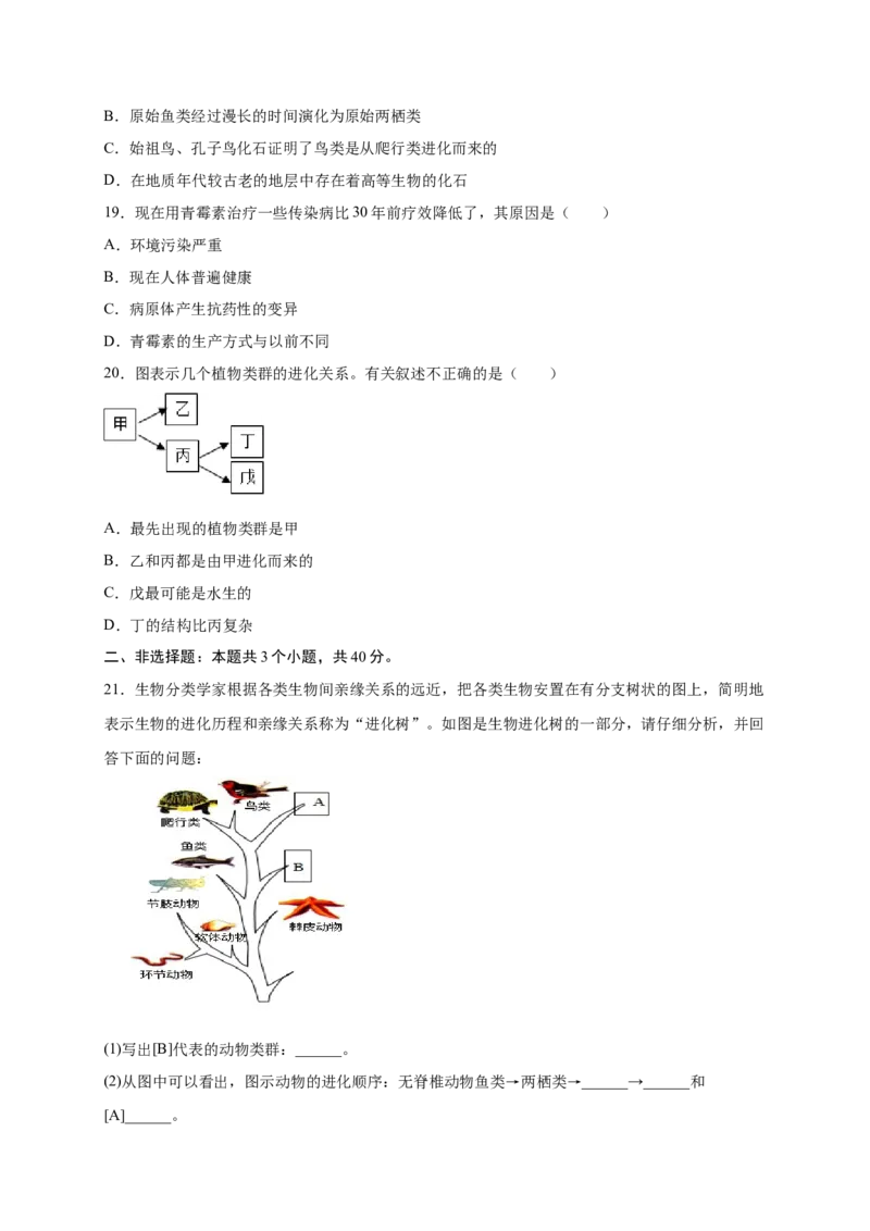 第3章生命起源和生物进化（B&middot;能力提升练）-单元测试2022-2023学年八年级生物下册分层训练AB卷（人教版）（原卷版）_new_1、初中学习资料_4-6、生物_4-6-4、初二生物下册
