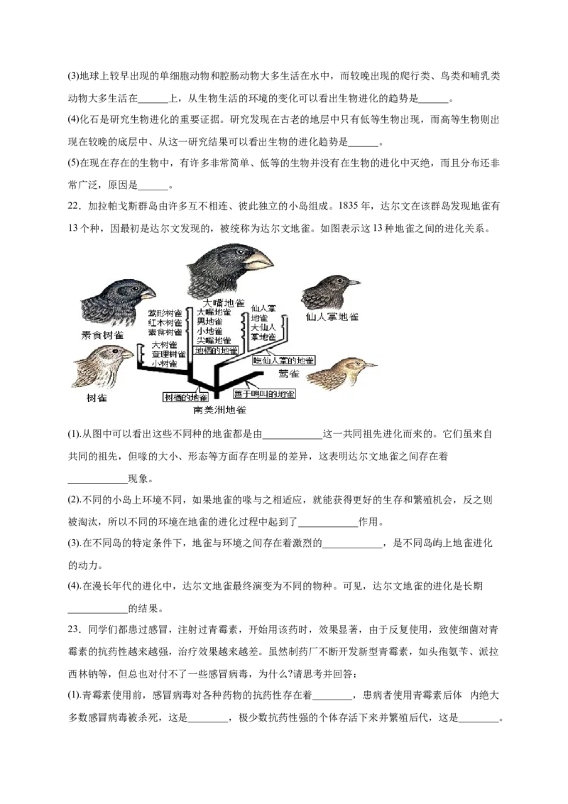 第3章生命起源和生物进化（B&middot;能力提升练）-单元测试2022-2023学年八年级生物下册分层训练AB卷（人教版）（原卷版）_new_1、初中学习资料_4-6、生物_4-6-4、初二生物下册