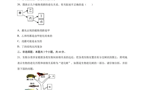 第3章生命起源和生物进化（B&middot;能力提升练）-单元测试2022-2023学年八年级生物下册分层训练AB卷（人教版）（原卷版）_new_1、初中学习资料_4-6、生物_4-6-4、初二生物下册