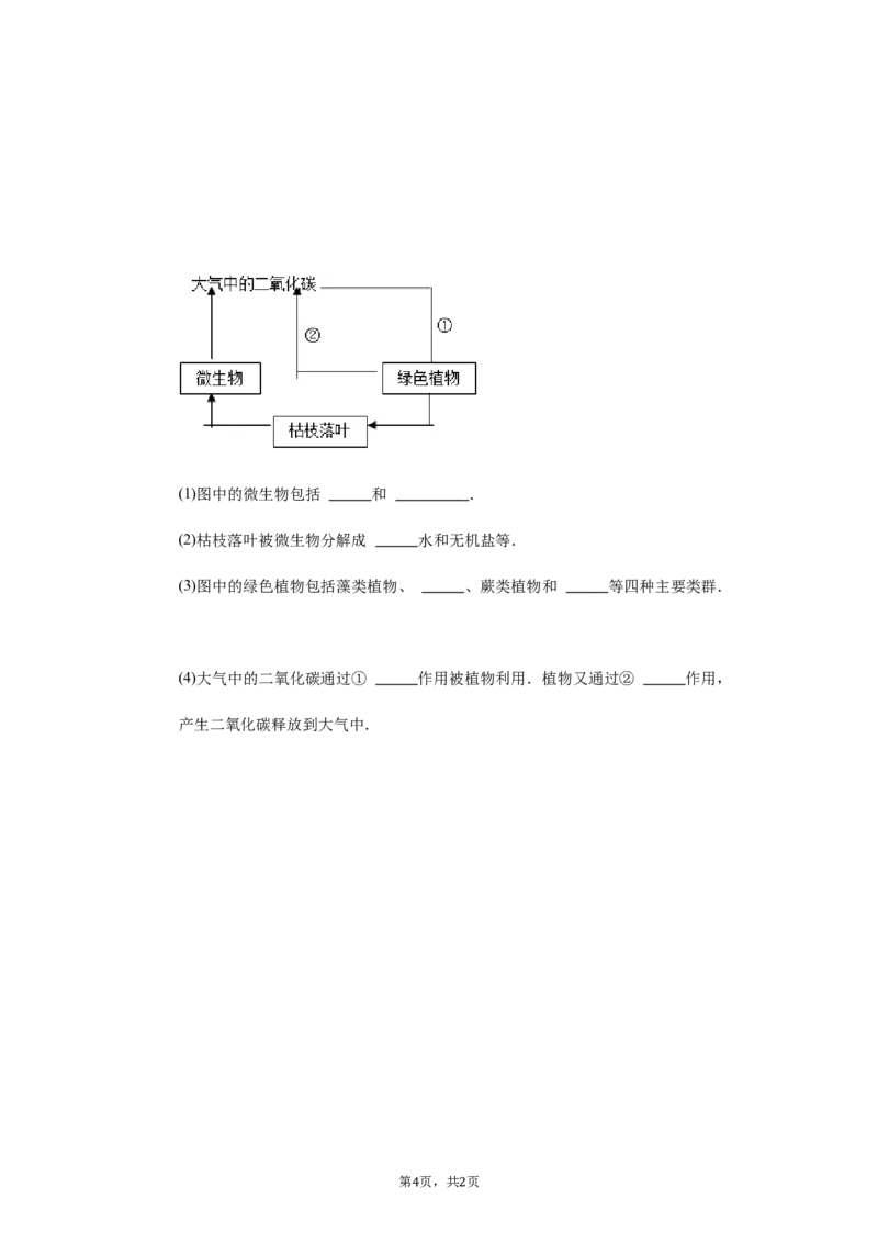 第5单元第4章细菌与真菌单元检测卷-普通用卷_1、初中学习资料_4-6、生物_4-6-3、初二生物上册_2、单元测试（23份）_单元测试2含答案