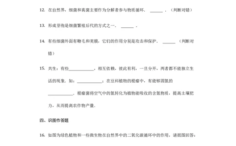 第5单元第4章细菌与真菌单元检测卷-普通用卷_1、初中学习资料_4-6、生物_4-6-3、初二生物上册_2、单元测试（23份）_单元测试2含答案