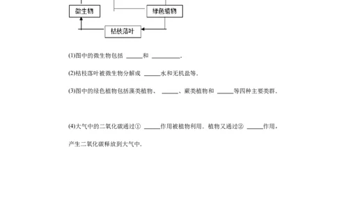 第5单元第4章细菌与真菌单元检测卷-普通用卷_1、初中学习资料_4-6、生物_4-6-3、初二生物上册_2、单元测试（23份）_单元测试2含答案