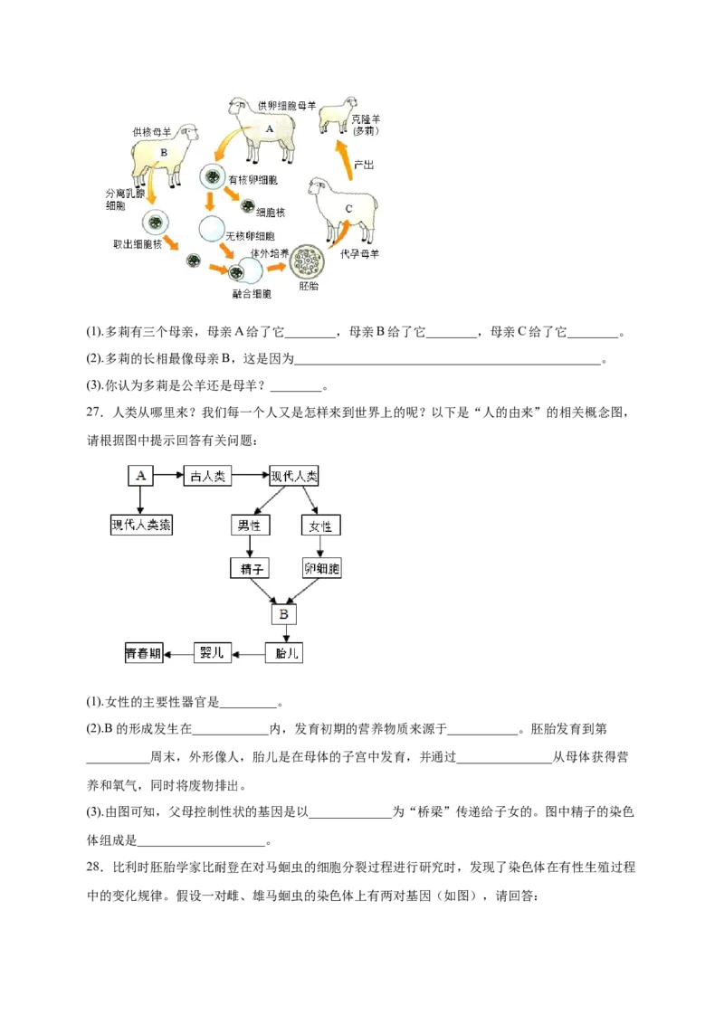 第2章生物的遗传与变异（A&middot;知识通关练）-单元测试2022-2023学年八年级生物下册分层训练AB卷（人教版）（原卷版）_new_1、初中学习资料_4-6、生物_4-6-4、初二生物下册