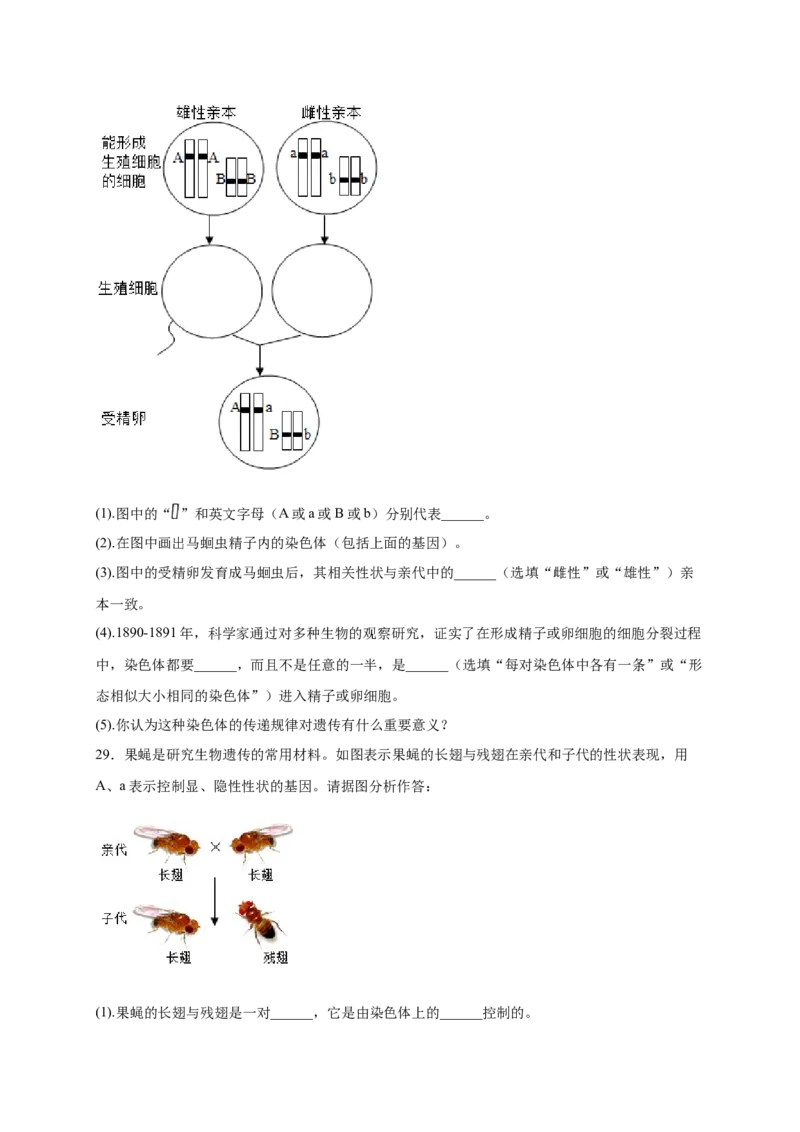第2章生物的遗传与变异（A&middot;知识通关练）-单元测试2022-2023学年八年级生物下册分层训练AB卷（人教版）（原卷版）_new_1、初中学习资料_4-6、生物_4-6-4、初二生物下册