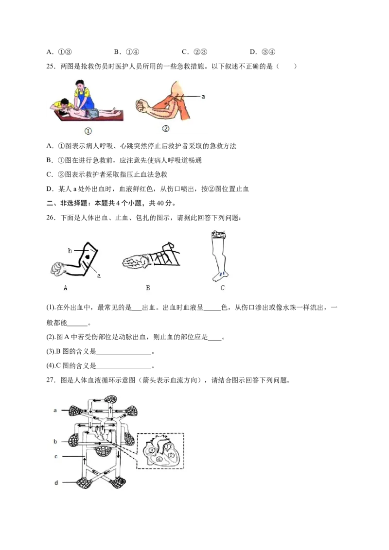 第2章用药与急救（B&middot;能力提升练）-单元测试2022-2023学年八年级生物下册分层训练AB卷（人教版）（原卷版）_new_1、初中学习资料_4-6、生物_4-6-4、初二生物下册