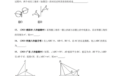 期中押题检测卷（考试范围：第十一-十三章）（原卷版）_1、初中学习资料_4-2、数学_4-2-3、初二数学上册_人教数学八年级上期中试卷（021份）_385