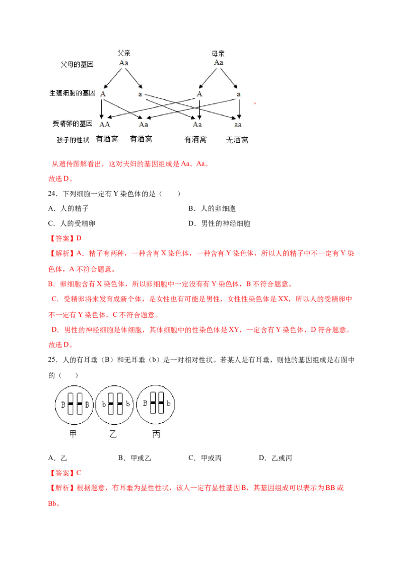 第2章生物的遗传与变异（A&middot;知识通关练）-单元测试2022-2023学年八年级生物下册分层训练AB卷（人教版）（解析版）_new_1、初中学习资料_4-6、生物_4-6-4、初二生物下册