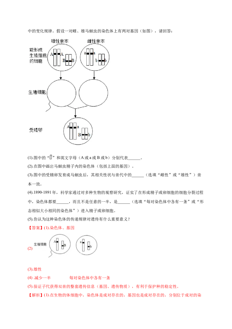 第2章生物的遗传与变异（A&middot;知识通关练）-单元测试2022-2023学年八年级生物下册分层训练AB卷（人教版）（解析版）_new_1、初中学习资料_4-6、生物_4-6-4、初二生物下册