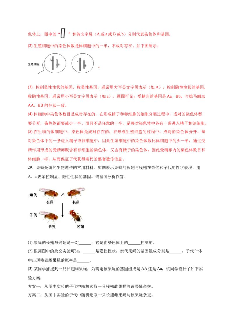 第2章生物的遗传与变异（A&middot;知识通关练）-单元测试2022-2023学年八年级生物下册分层训练AB卷（人教版）（解析版）_new_1、初中学习资料_4-6、生物_4-6-4、初二生物下册