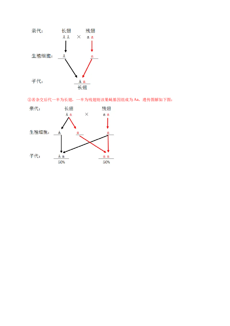 第2章生物的遗传与变异（A&middot;知识通关练）-单元测试2022-2023学年八年级生物下册分层训练AB卷（人教版）（解析版）_new_1、初中学习资料_4-6、生物_4-6-4、初二生物下册