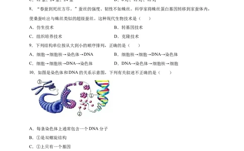 第2章生物的遗传与变异（B&middot;能力提升练）-单元测试2022-2023学年八年级生物下册分层训练AB卷（人教版）（原卷版）_new_1、初中学习资料_4-6、生物_4-6-4、初二生物下册